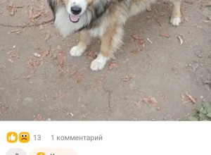 Дорогие Красноуральцы!!! Мы ищ?...