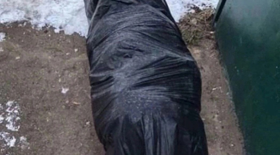 Пожалуйста, больше не выкидыв?...