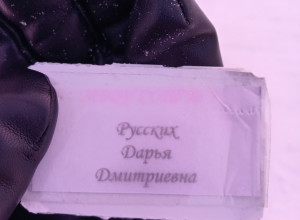 Найден пропуск, позвоните 8912215...