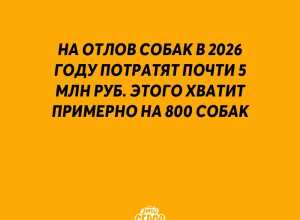 Много это или мало?...