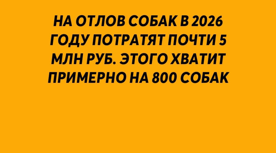 Много это или мало?...