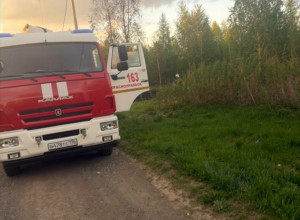 От подписчика
На ключевой слу?...