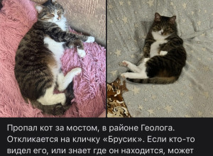 😭🙏🏻...