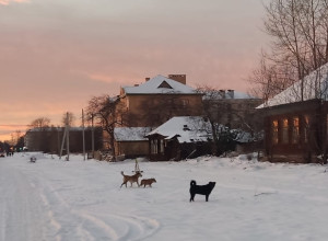 От подписчика:

Добрый вечер. 
...