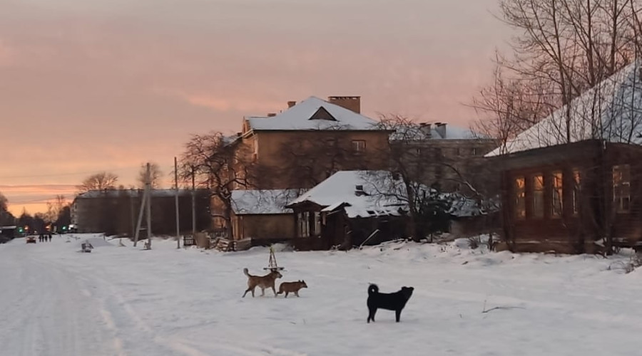 От подписчика:

Добрый вечер. 
...