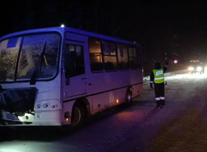 Под Нижним Тагилом столкнулис...