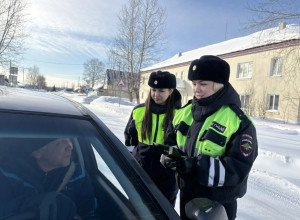 🚦 В Ивделе прошла акция «Женс...