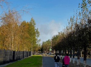 От подписчика
Сегодня шел по г...