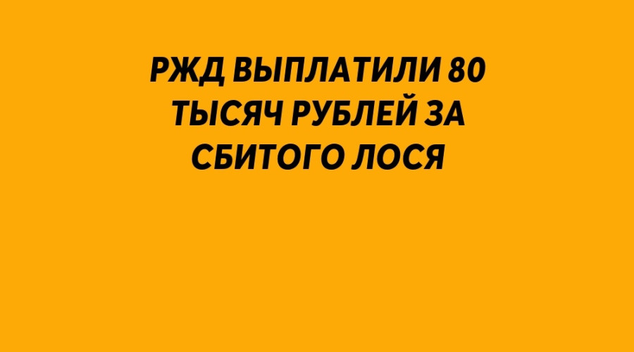 Поезд под Серовом сбил лося: Р?...