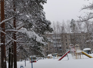 Снежно❄️...