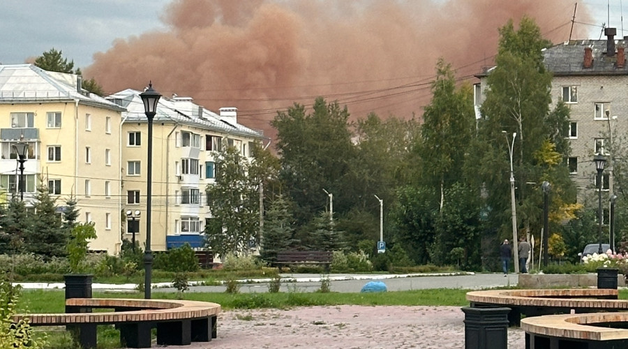 От подписчика:

Вот так травят ...