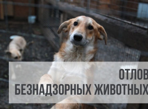‼️Внимание, с 1 по  по 22 август...