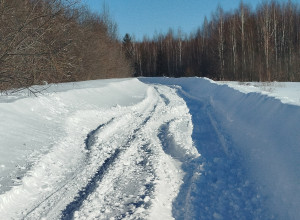 От подписчика:

В деревне Копы?...