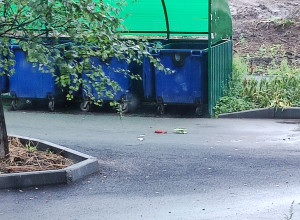 Здравствуйте. Вот так засоряе?...
