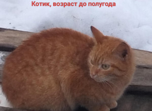 От подписчика:

Присмотритесь,...