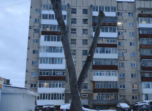 Подписчик пишет.

А специалист...