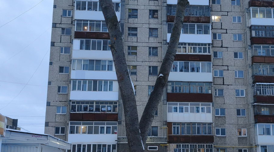 Подписчик пишет.

А специалист...