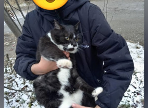От подписчика:

Котик увязался...