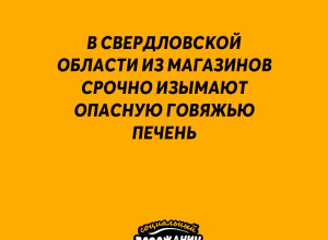 ❗В Свердловской области из ма...