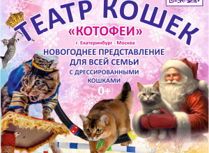 🐱 Говорят, кошки не поддаются...