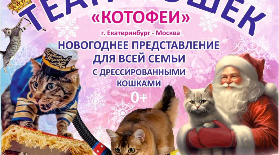 🐱 Говорят, кошки не поддаются...