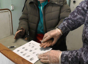 ⚡️ Задержали серовчанку, кот?...