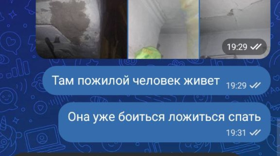 От подписчика
Вот так наш новы...