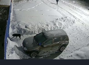 От подписчика:

Слушайте, прос?...