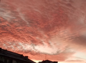 Розовый закат.

📸 От подписчи?...