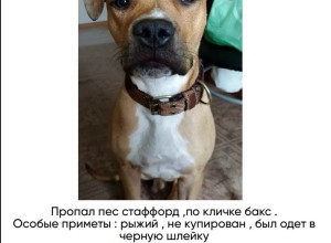 Возможно шлейка была снята, но...