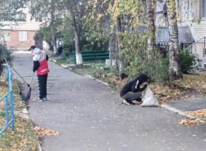 Подписано постановление об ор...
