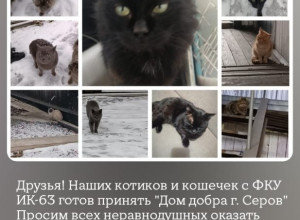От подписчика...