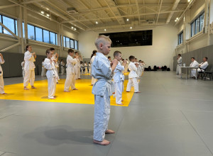 🥋7 июня в североуральском Дво...