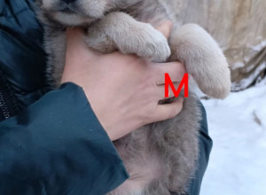 ‼️‼️‼️
Под новый год все ме...