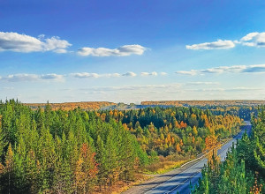 Немного красок в этот пасмурн?...