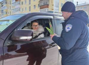 В Красноуральске автоинспект?...