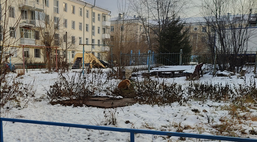 От подписчика:

Во дворе в цент...