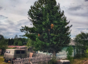 Доброе утро, Ивдель!

📸Алексе?...