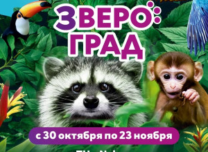 Серов, встречай! “Звероград” ...