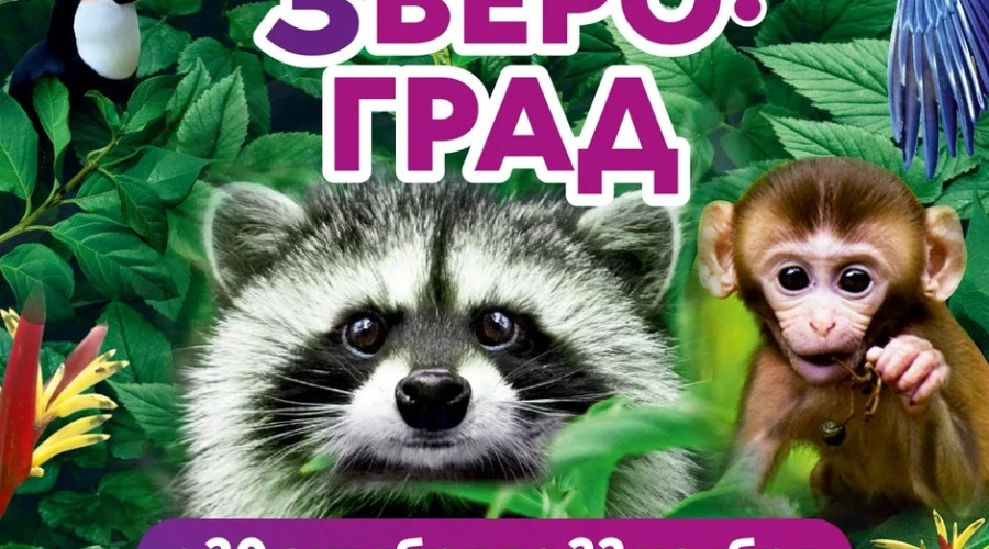 Серов, встречай! “Звероград” ...
