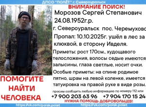 Нужны добровольцы на поиск....