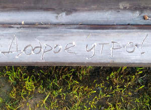 От подписчика:

Доброе утро Се?...