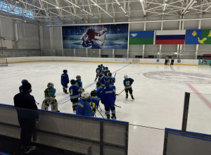 🏒Юные хоккеисты ДЮСШ Ивделя (...