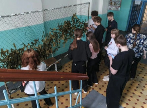 Школьники Красноуральска спл?...