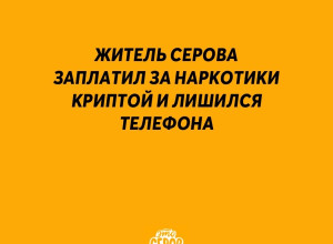 Житель Серова заплатил за нар?...