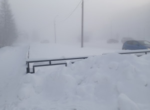 От подписчика:

любой декабрьс...
