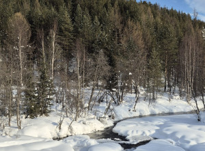 ✨❄️Хороших выходных, Ивдель!...