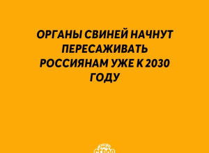 ⚡️ Органы СВИНЕЙ начнут пере?...