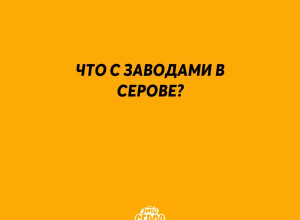 Подписчики делятся новостями ...
