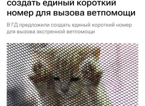 Вызвать срочную ветеринарную ...